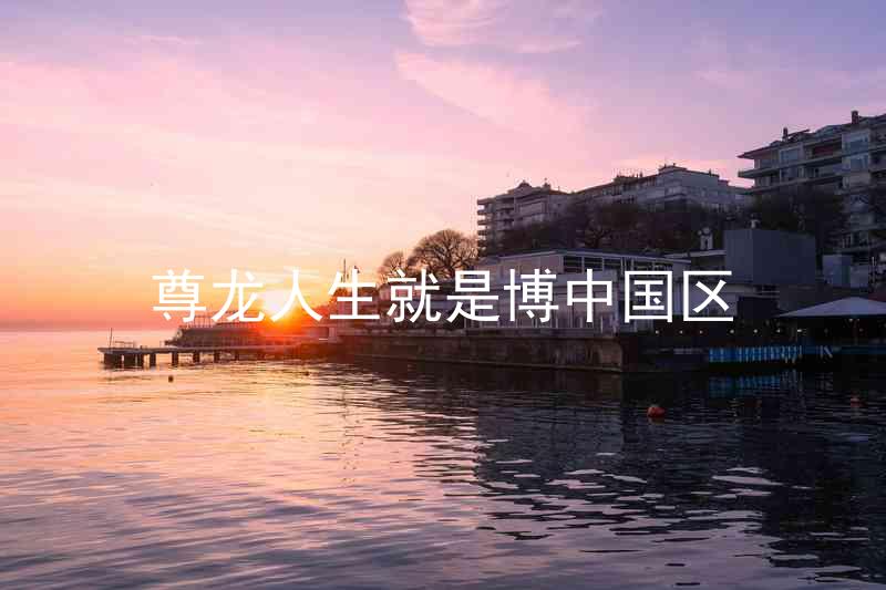 尊龙人生就是博中国区