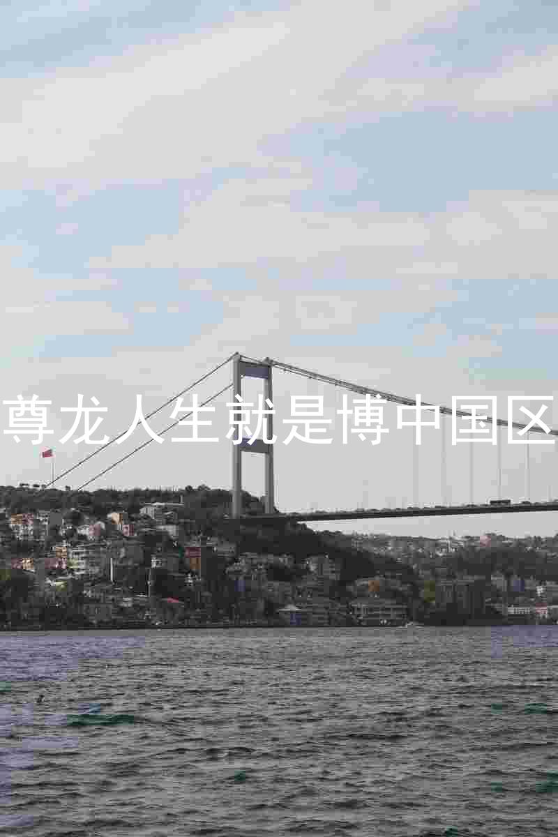尊龙人生就是博中国区