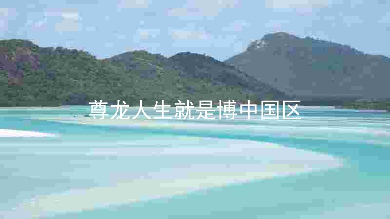 尊龙人生就是博中国区