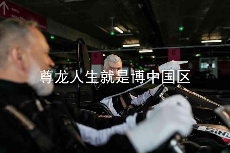 尊龙人生就是博中国区