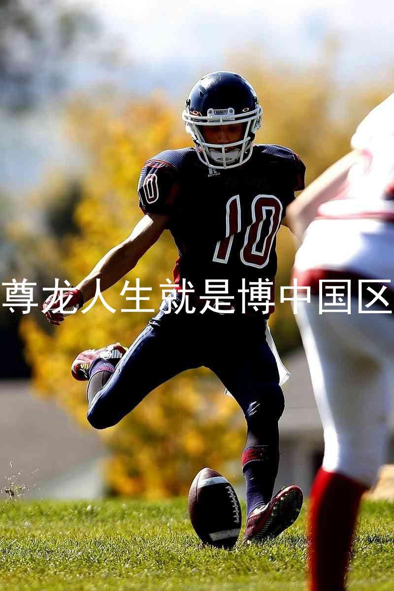 尊龙人生就是博中国区