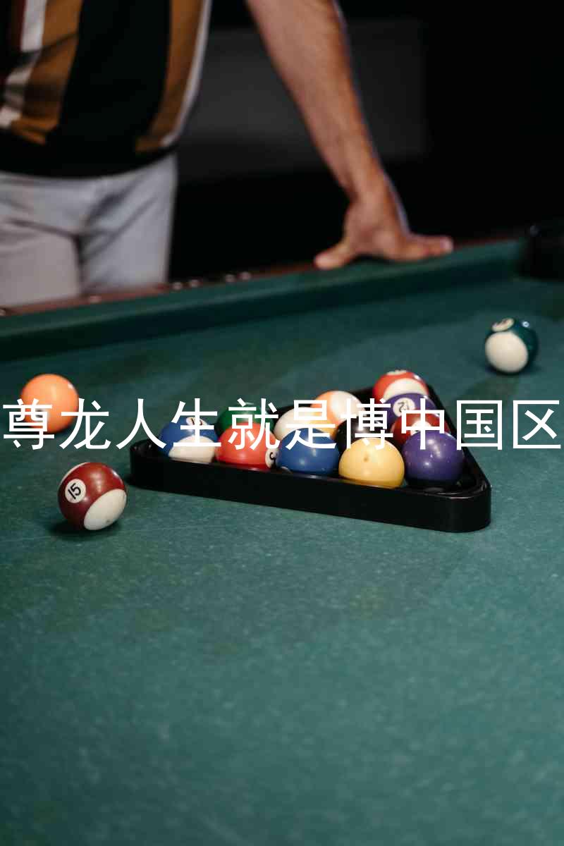 尊龙人生就是博中国区