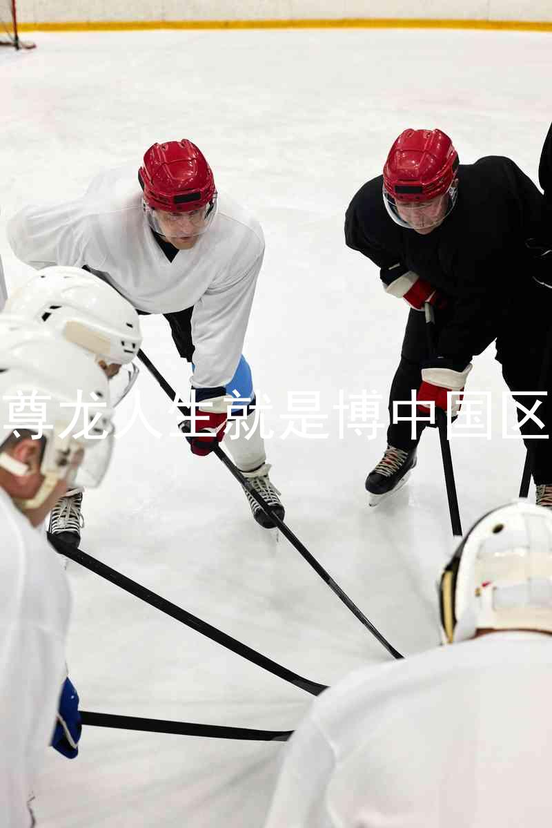 尊龙人生就是博中国区
