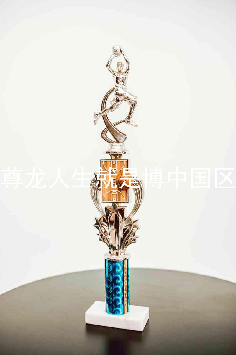 尊龙人生就是博中国区