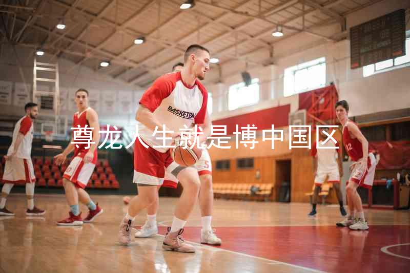 尊龙人生就是博中国区